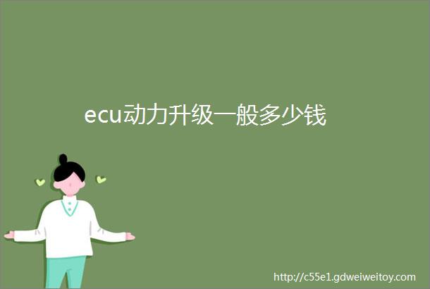 ecu动力升级一般多少钱