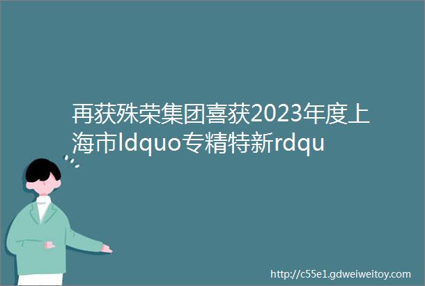 再获殊荣集团喜获2023年度上海市ldquo专精特新rdquo企业称号